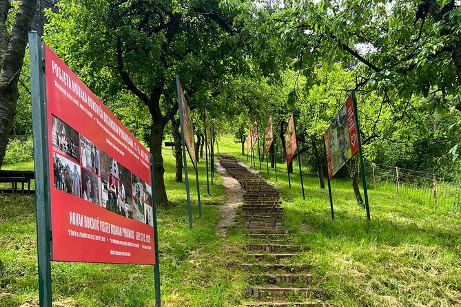 BOSNIAN PYRAMIDS TOUR (nature, history & archeology) - Inside the Ravne tunnels from 10 to 11:30