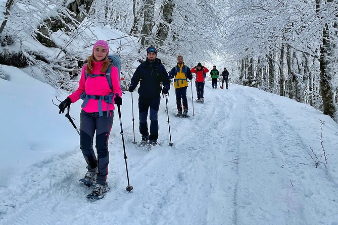 Experience Snowshoeing in Olympic Mountain Bjelašnica - Choosing the six-kilometer route or the 10-kilometer extension