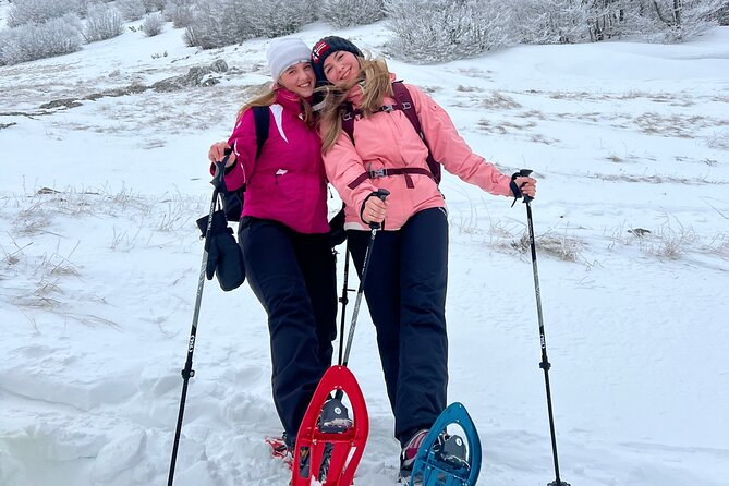 Experience Snowshoeing in Olympic Mountain Bjelašnica - What the $95.31 price means