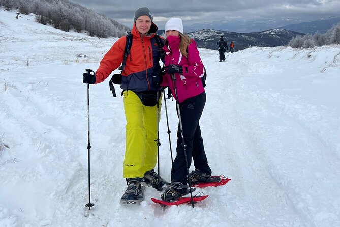 Experience Snowshoeing in Olympic Mountain Bjelašnica - Timing, weather, and the sensible booking choice
