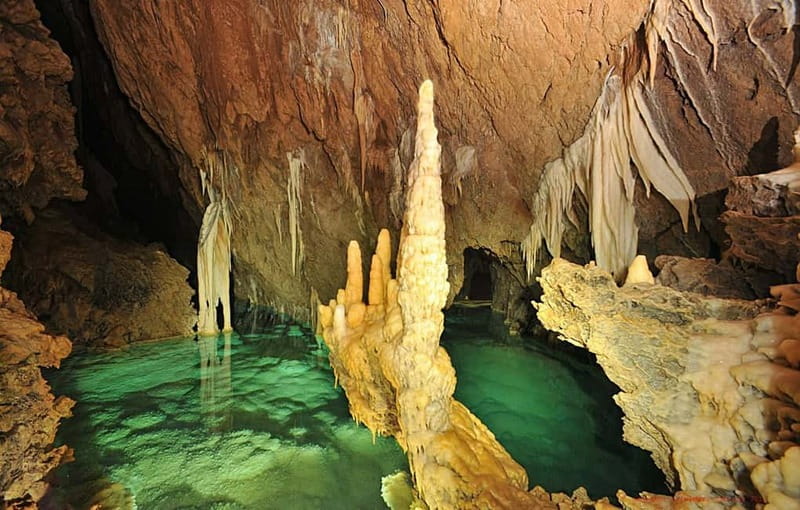 From Sarajevo: Bijambare Caves and Nature Park - Forest paths, plants, animals, and water