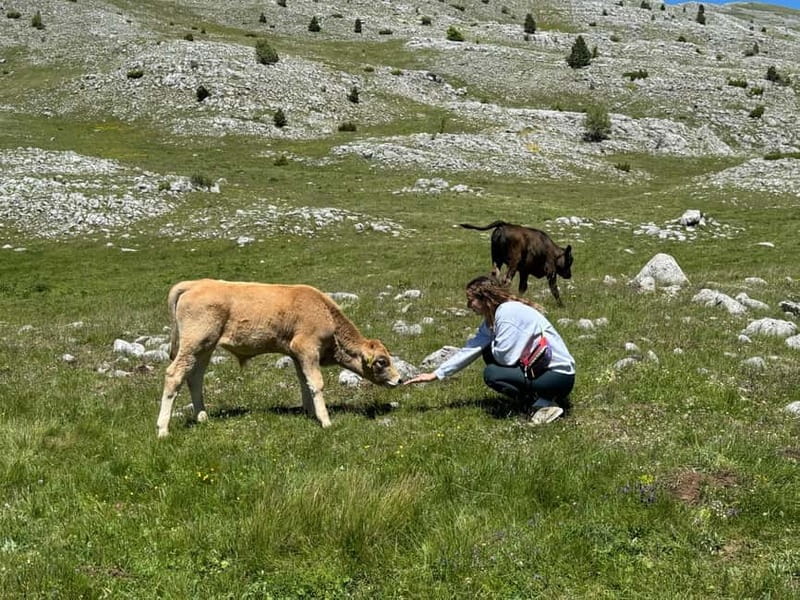 From Sarajevo: Private Lukomir Village 4x4 Safari - Who should book this outing