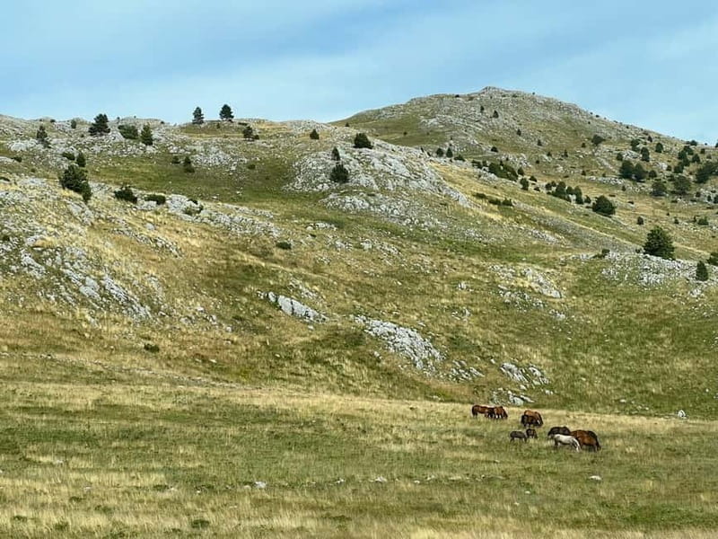 Hiking around Sarajevo: Lukomir Village Full Day Hiking Tour - Key points before you book