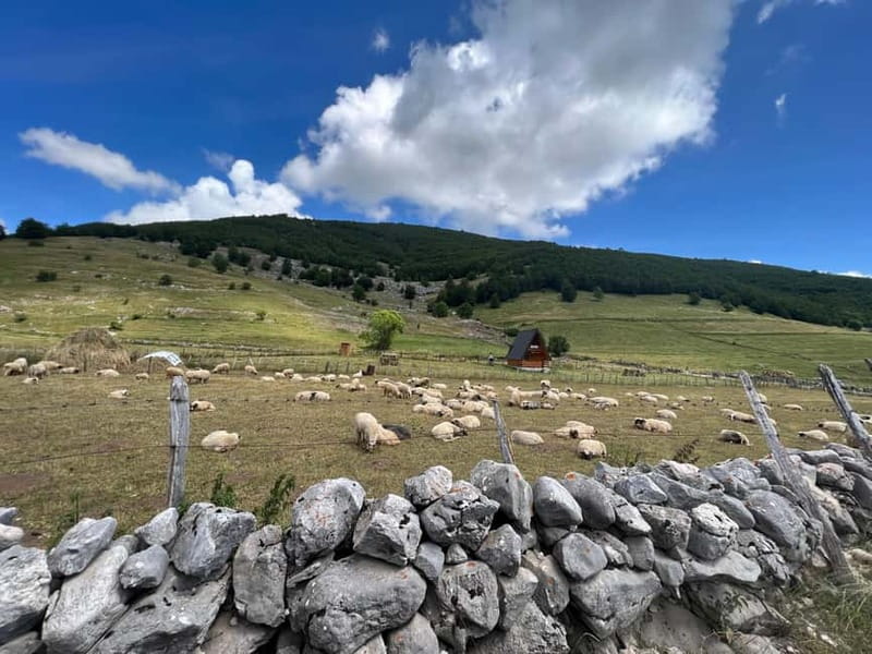 Hiking around Sarajevo: Lukomir Village Full Day Hiking Tour - Rakitnica Canyon on the return route