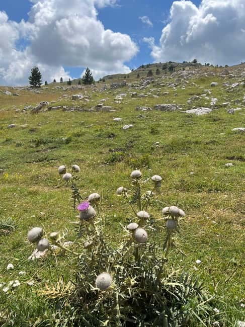 Hiking around Sarajevo: Lukomir Village Full Day Hiking Tour - A small group with a guide who pays attention
