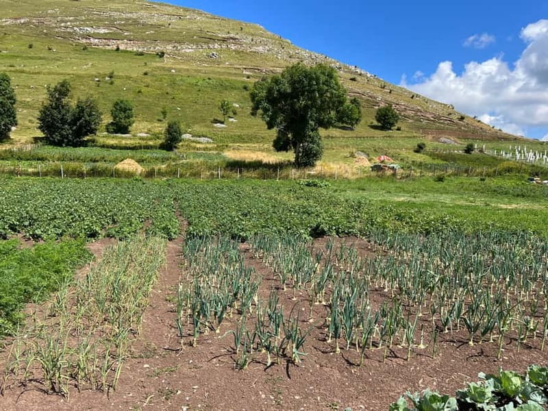 Hiking around Sarajevo: Lukomir Village Full Day Hiking Tour - Is $84 a fair price?