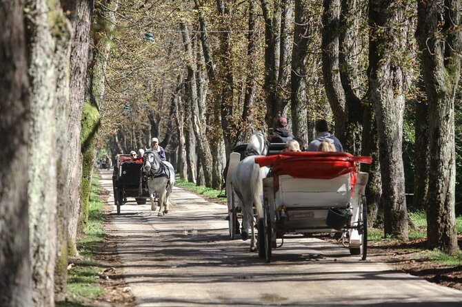Private Carriage Ride in Vrelo Bosne Nature Park - Why the Great Alley is the heart of this outing