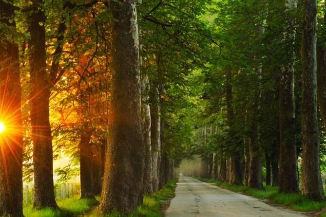 Private Carriage Ride in Vrelo Bosne Nature Park - What is included, and what you pay extra for