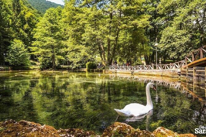 Private Carriage Ride in Vrelo Bosne Nature Park - Who will enjoy this private ride most