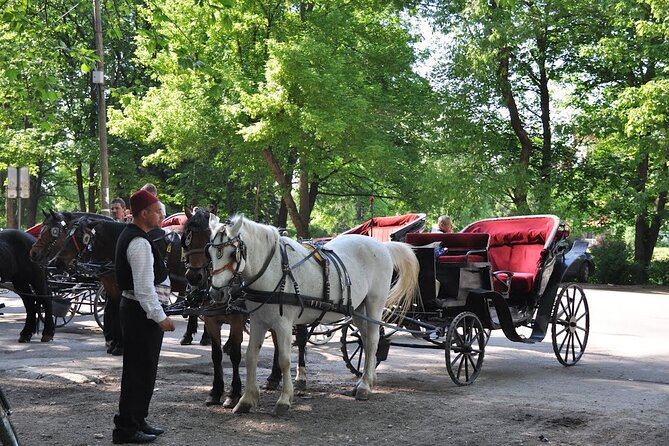 Private Carriage Ride in Vrelo Bosne Nature Park - The booking concern you should not ignore