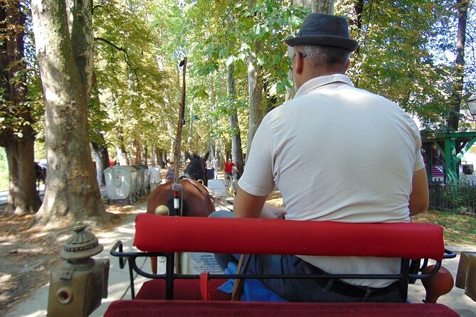 Private Carriage Ride in Vrelo Bosne Nature Park - What the 3.5-kilometer carriage ride feels like