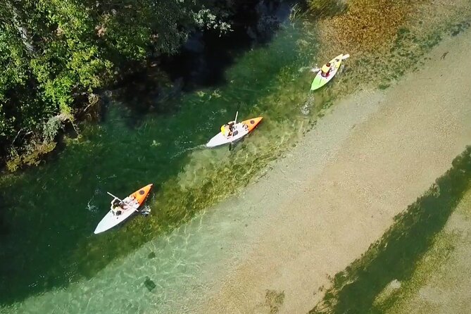 Safari kayak adventure w BBQ & Beer - Key points at a glance