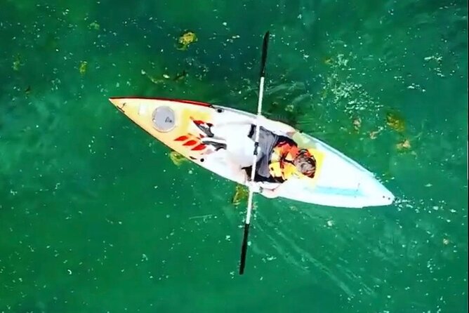 Safari kayak adventure w BBQ & Beer - What the $52.68 price really covers