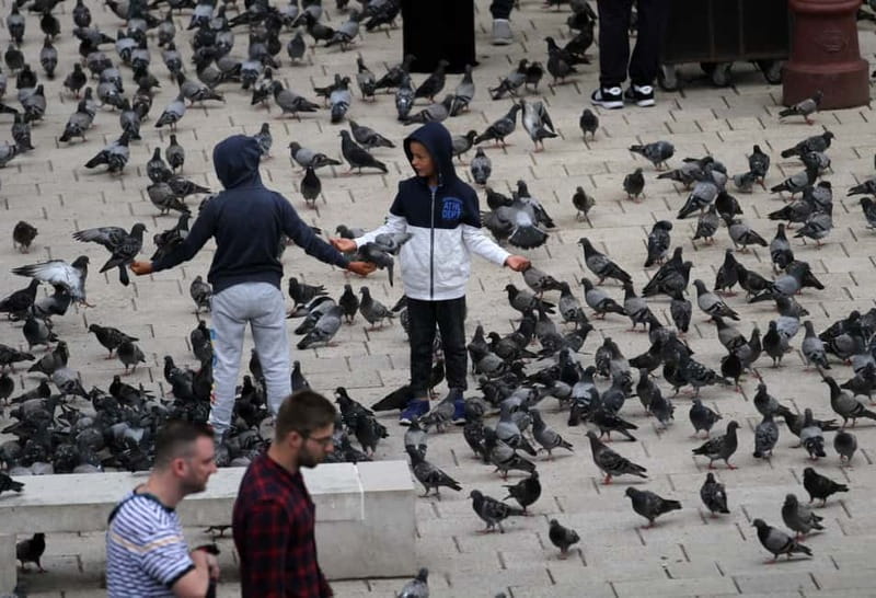 Sarajevo: Best of Sarajevo – Ultimate Full-Day Experience - Is $81 plus 30 euros a fair price?