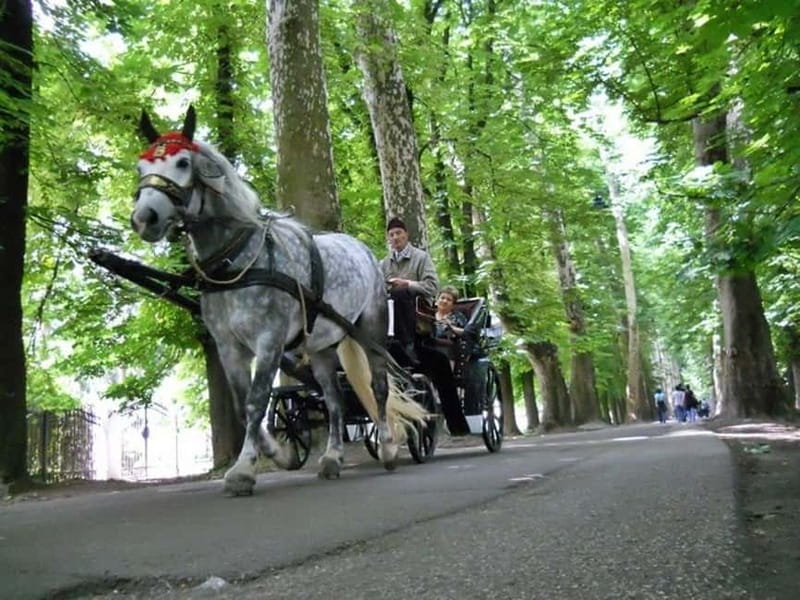 Sarajevo: Vrelo Bosne Nature Park Private Tour - Leaving Sarajevo for the springs