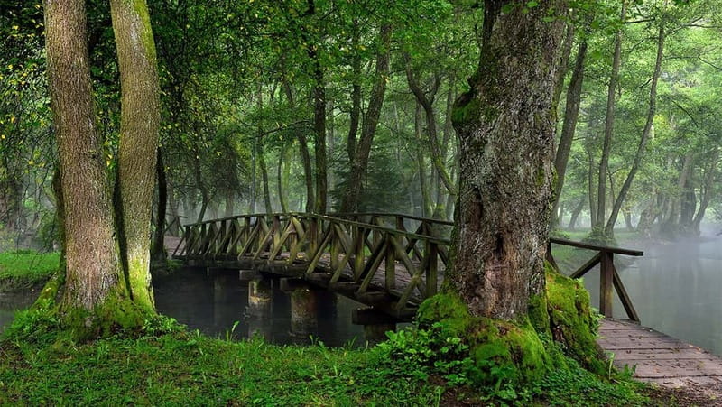 Sarajevo: Vrelo Bosne Nature Park Private Tour - Vrelo Bosne and the start of the Bosna River