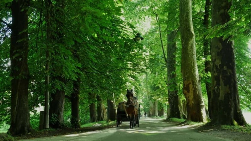 Sarajevo: Vrelo Bosne Nature Park Private Tour - The guide can make this short tour feel personal