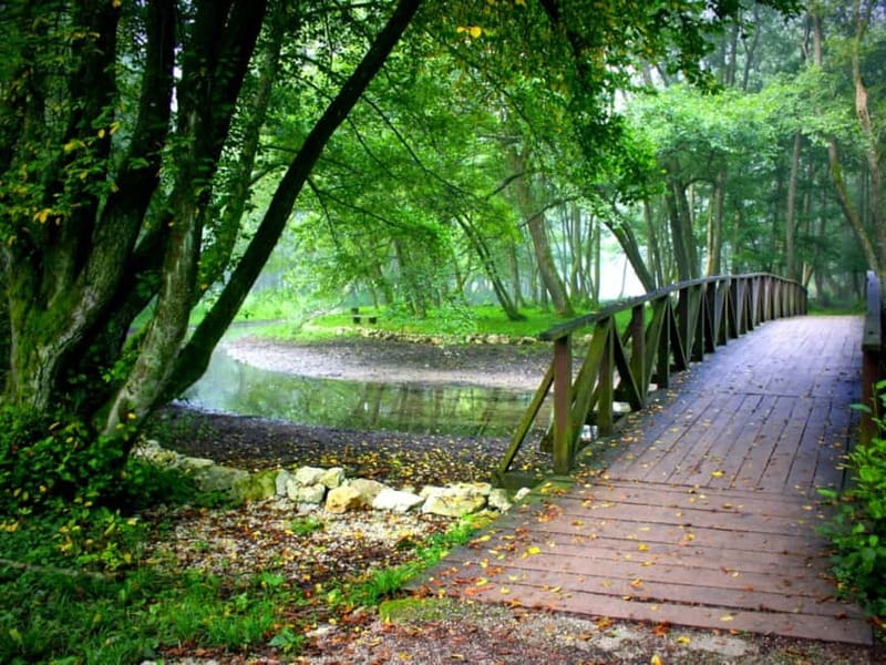 Sarajevo: Vrelo Bosne Nature Park Private Tour - Is $82 per person good value?