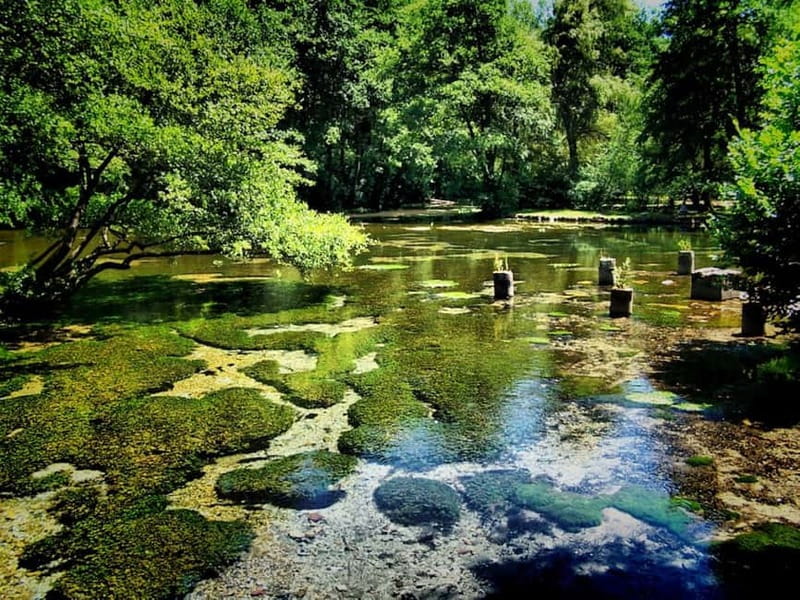 Sarajevo: Vrelo Bosne Nature Park Private Tour - Who should book the Vrelo Bosne tour?