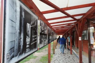 Tunnel of Hope Tour – Survival and Resilience